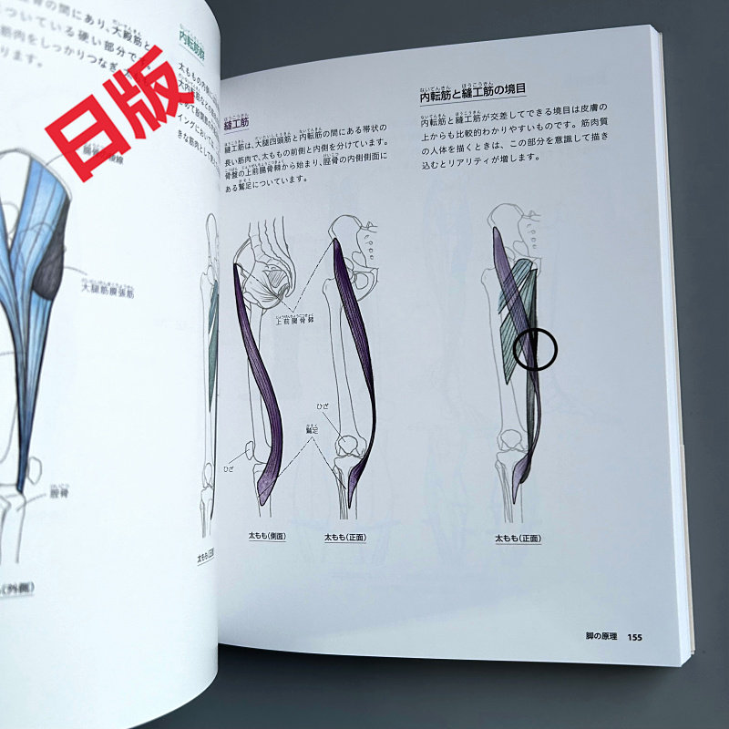 พื้นฐานการวาดภาพคน: ตั้งแต่กาย - Japanese Manga Drawing Tutorial Book บทวิจารณ์และราคา